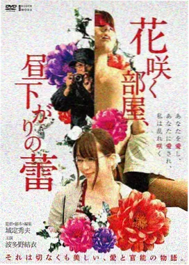 北海道之恋 日剧在线观看